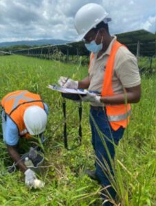Workers inspecting solar panel installation site at mining consultancy